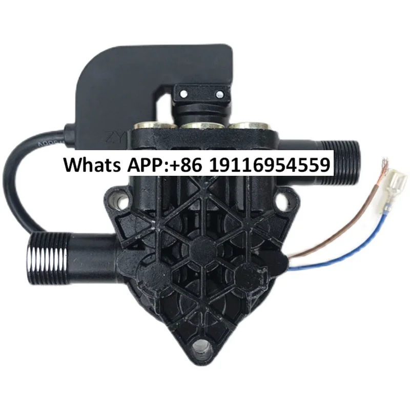 portable cleaning machine automatic triangle pump head assembly hole spacing 65mm plunger laugh pump head with pressure switch