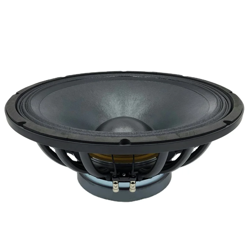 

Big Pro Loudspeaker System Speaker For outdoor stage 18inch waterproof subwoofer speaker component