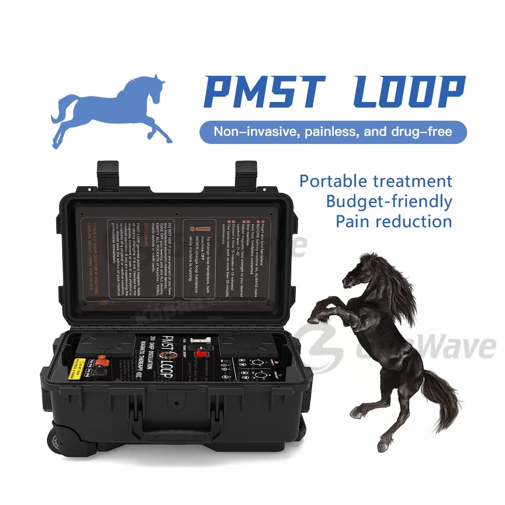 Equine PEMF Therapy Machine PMST LOOP Magnewave Magnetic Device for Animals Physiotherapy