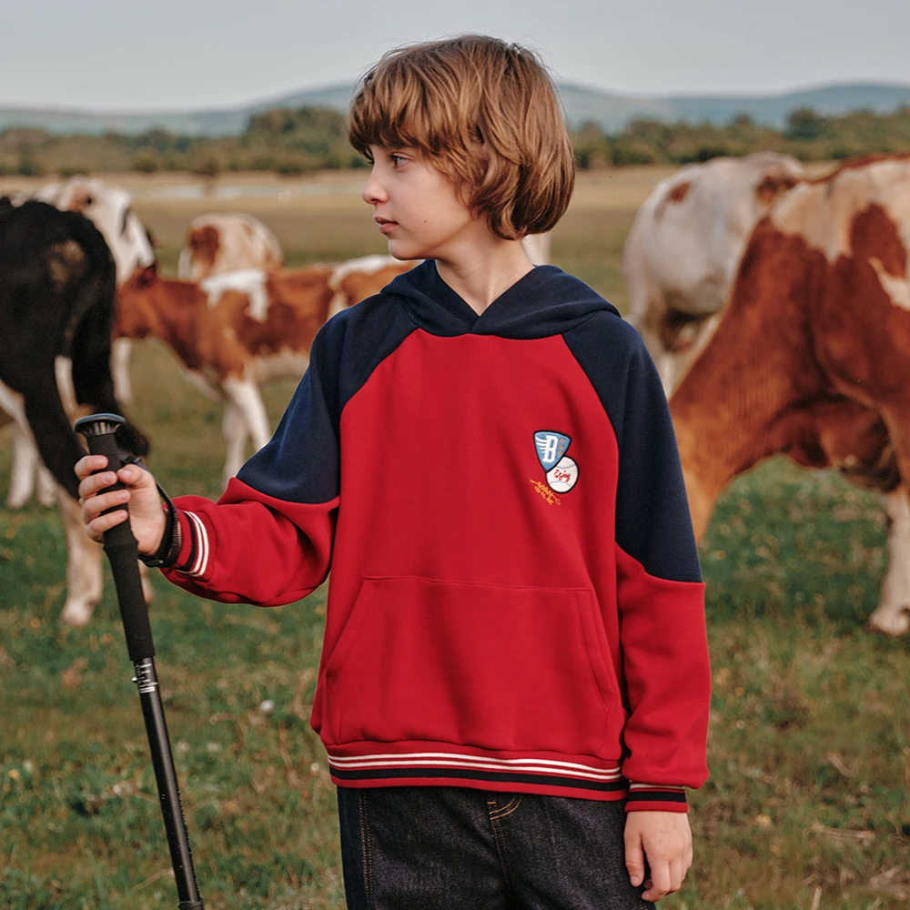 Dave Bella Boys Fleece-lined Sweatshirt Aged 6-12 Years Kids Winter Warm Hoodies Top Knitted Long Sleeve Pullover DK4264350