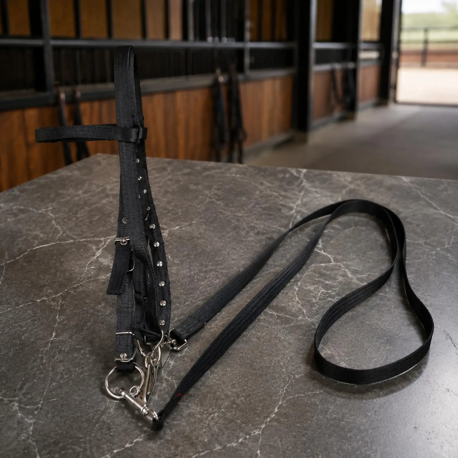 comfortable-horse-bridle-nylon-split-headstall-for-everyday-schooling-riding