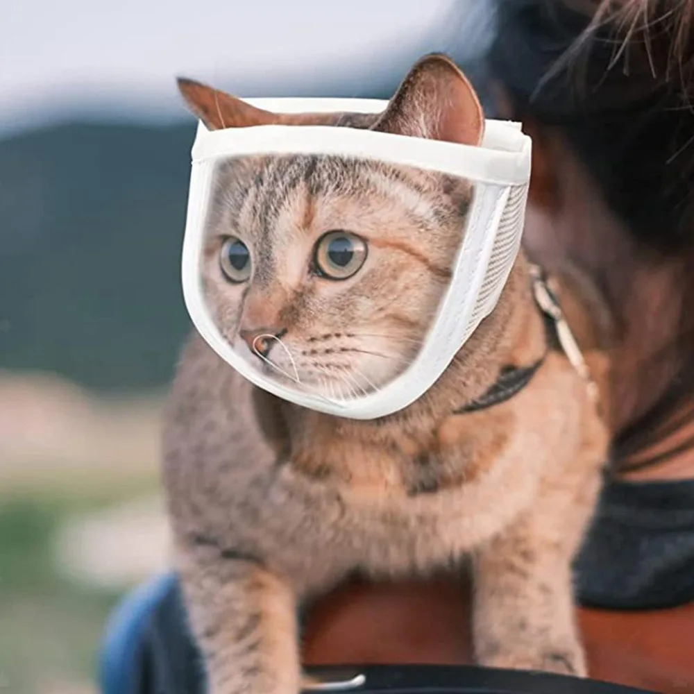 Maschera trasparente Anti morso regolabile protezione per la bocca di sicurezza da masticare strumenti per la toelettatura del bagno maschera per