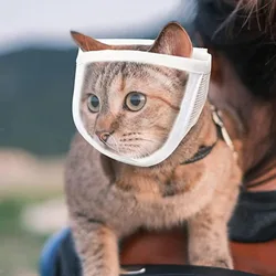 Maschera trasparente Anti morso regolabile protezione per la bocca di sicurezza da masticare strumenti per la toelettatura del bagno maschera per museruole per cuccioli di gattino