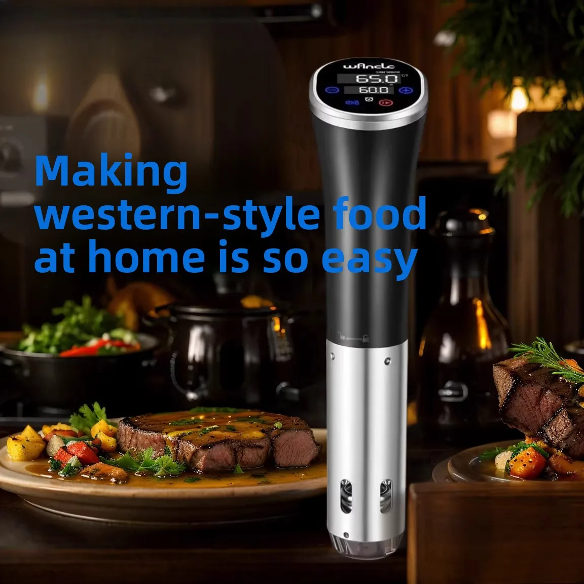 Slow cooker, sous vide blender, commercial and home slow cooker, steak, chicken, fish fillet, onsen egg