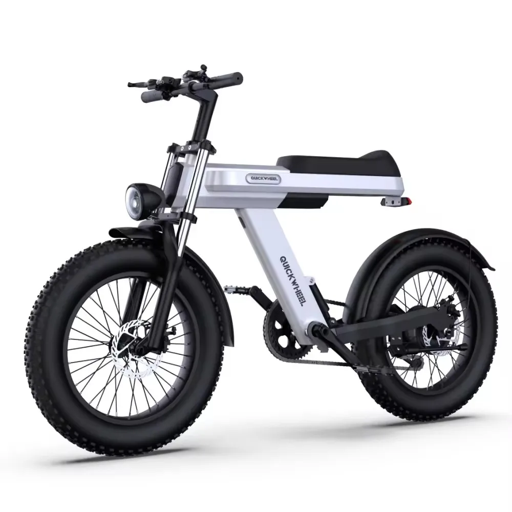 

20 Inch Lithium Battery Electric Bicycle E Bike 1000W 48V 15Ah E Bike Electric Bicycle for Adults