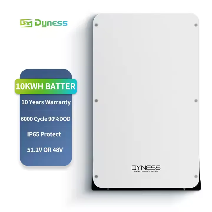 TLF Dyness PowerBox Pro 10,24 кВтч LiFePO4 аккумулятор 51,2 В 200 Ач настенный для хранения солнечной энергии дома/фургона/вимсеты