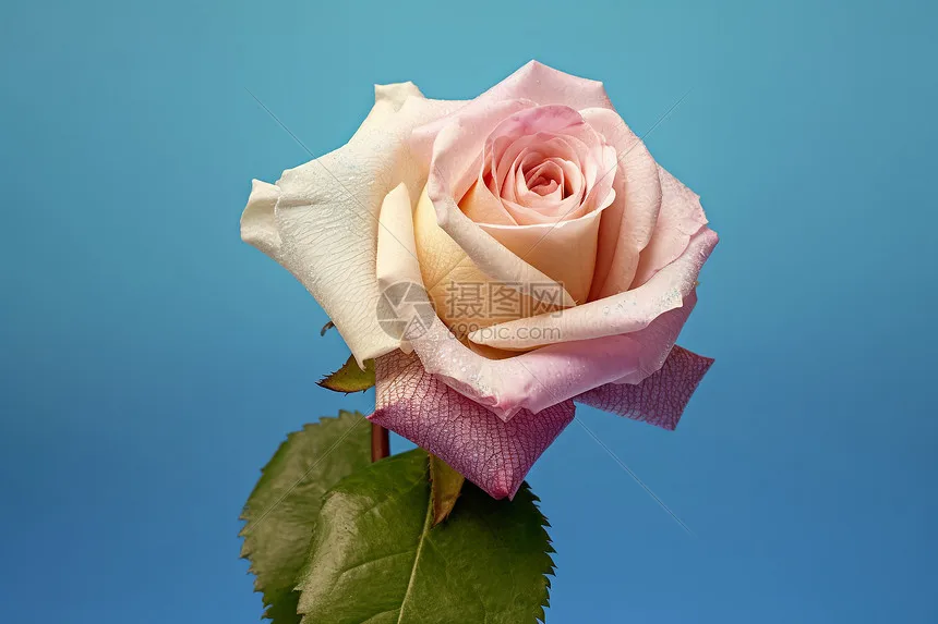 

Рама AxisFlying MANTA10 Lite True X — карбон T700, 402 мм WB, 10 дюймов, готовая опора для Cinematic Drone Freestyle FPV