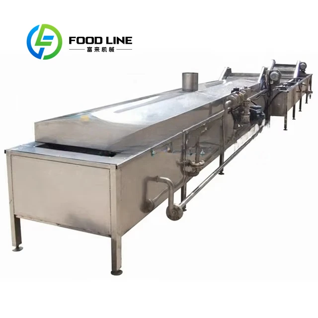 

Commercial Automatic Spiral Blanching Machine Steam Heating for Fruits Vegetables High Capacity Food Processing Equipment