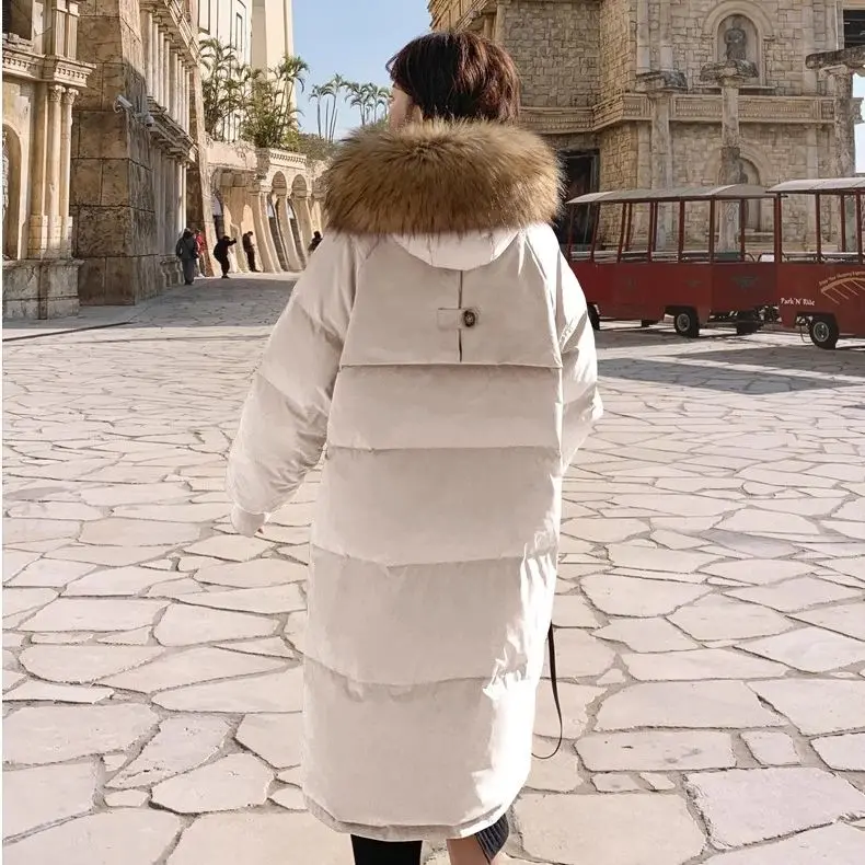 冬の新しい女性のダウンコットンジャケット特大フード付き通勤パーカー