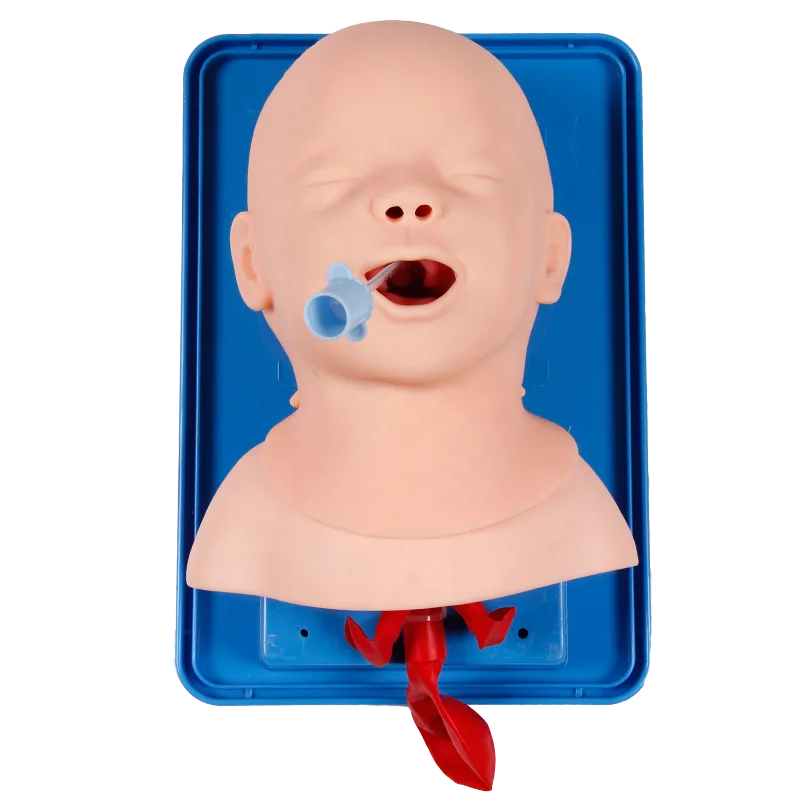 Advanced Durable PVC Infant Tracheal Intubation Model Medical Science Emergency Training Manikin High Standard Quality