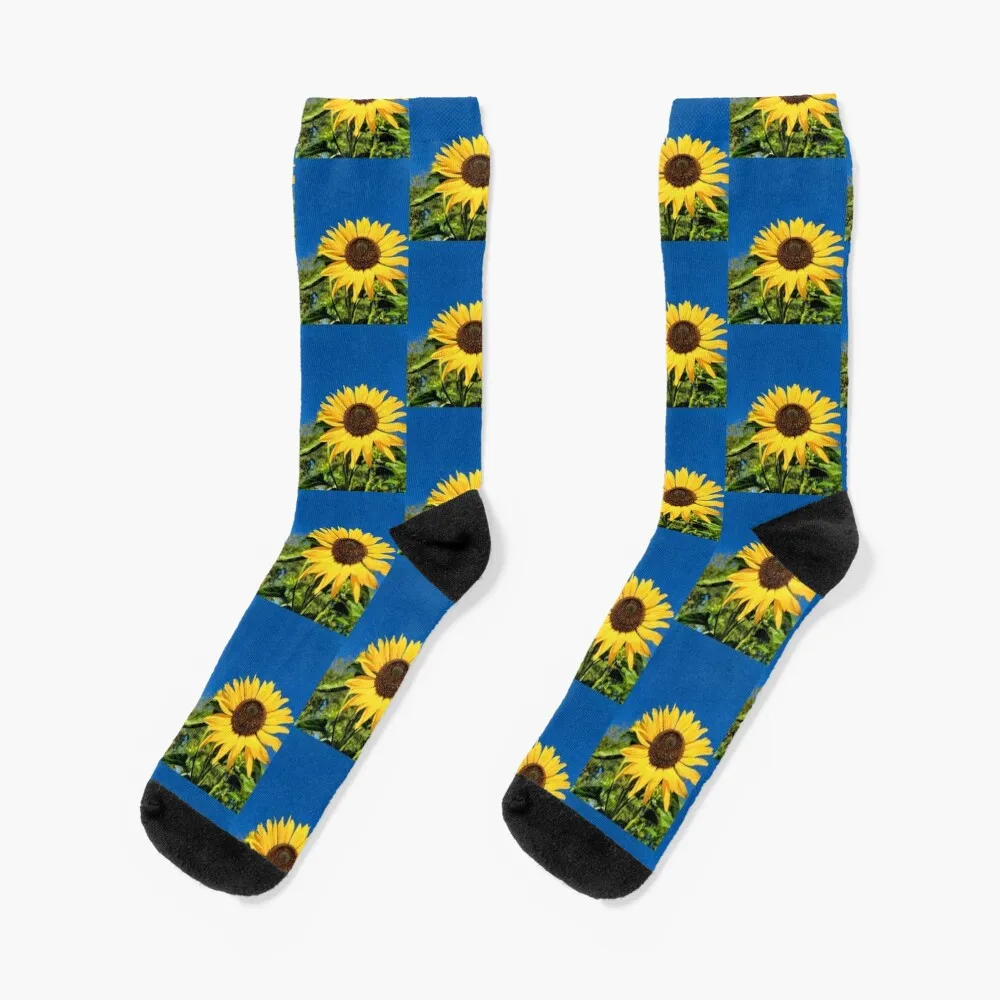 Flower of and under the Sun Socks halloween Hiking boots FASHION Non-slip Women's Socks Men's