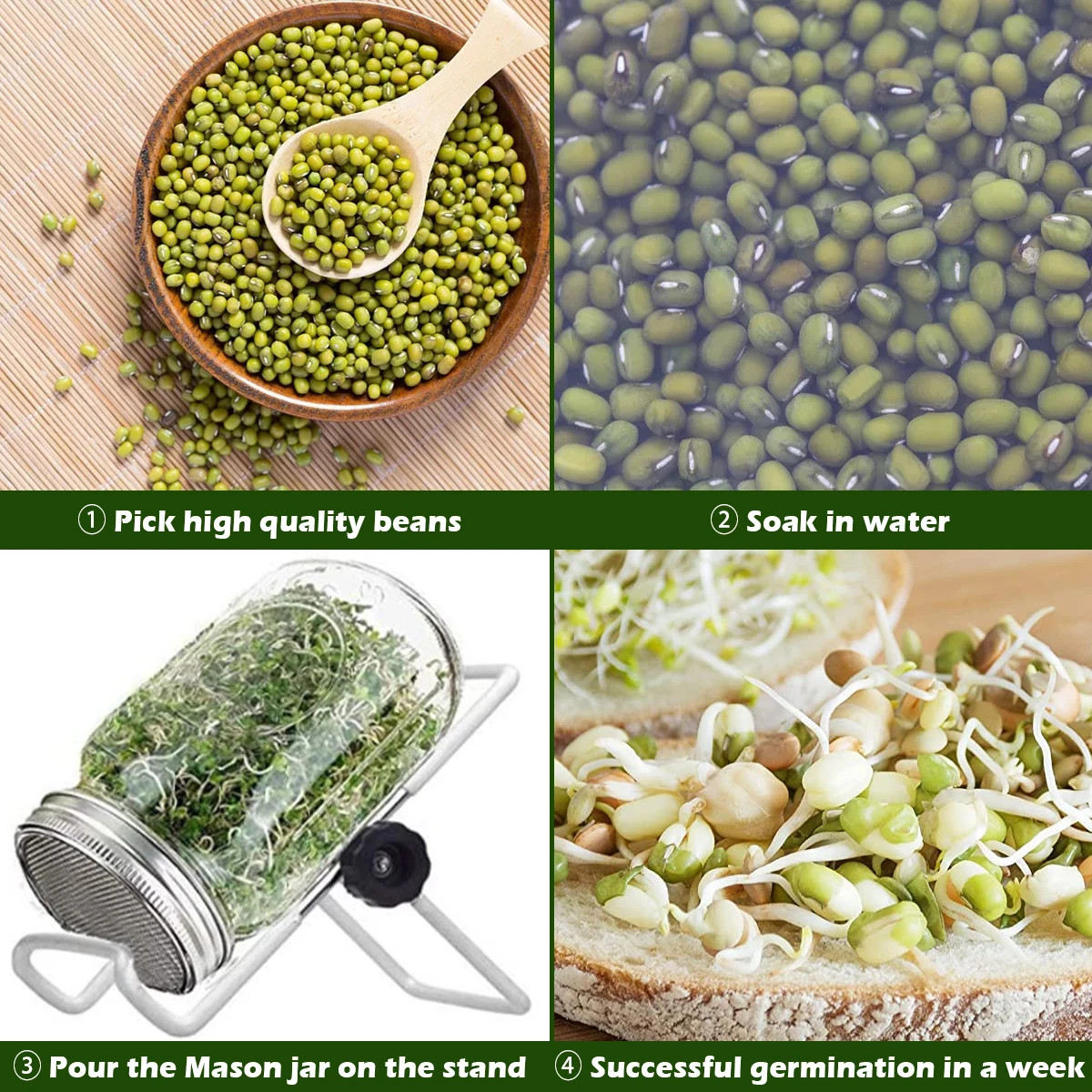 Sprouting Jar Lids Stainless Steel Mesh Screen Seed Sprout Can Lid Wide Mouth Mesh Screen Strainers Filter Germinator Accessorie