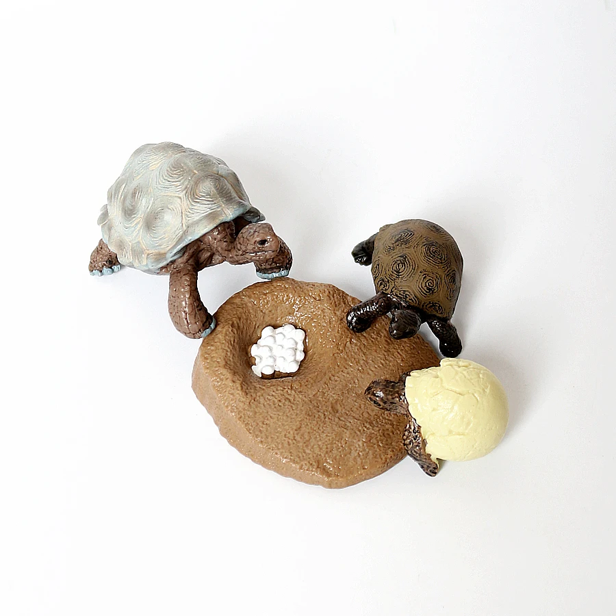 Realistyczne figurki modelujące cykl życia gadów, zabawki, wąż, jaszczurka, kameleon, żółw, figurka cyklu życia, zabawka edukacyjna, upominki na przyjęcia