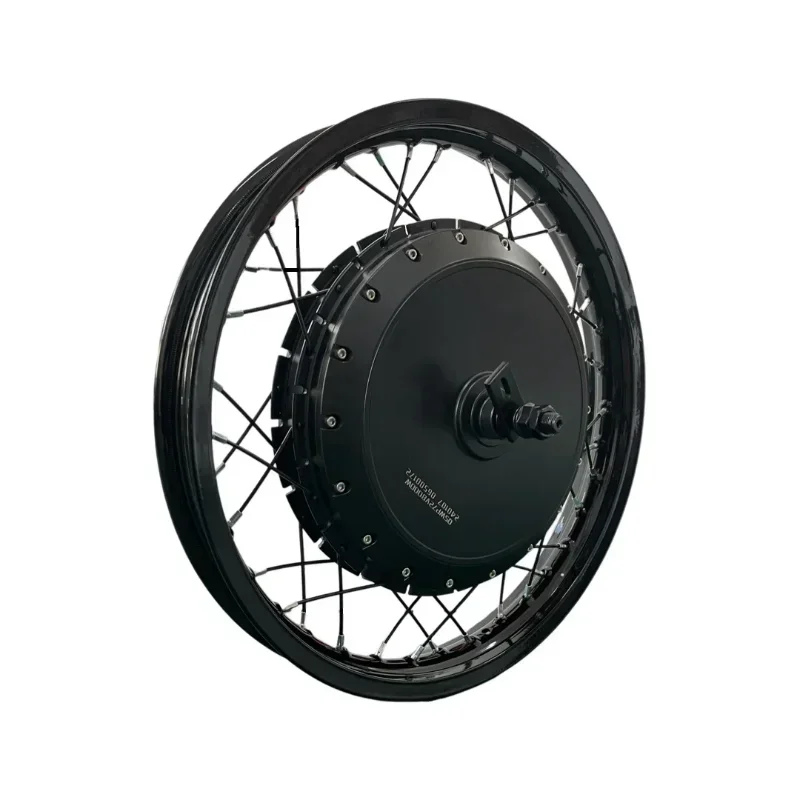 

QS273 40H V3 Electric Motorcycle Hub Motor 4000W 8000W with 152mm Drop-Outs for High Performance Biking