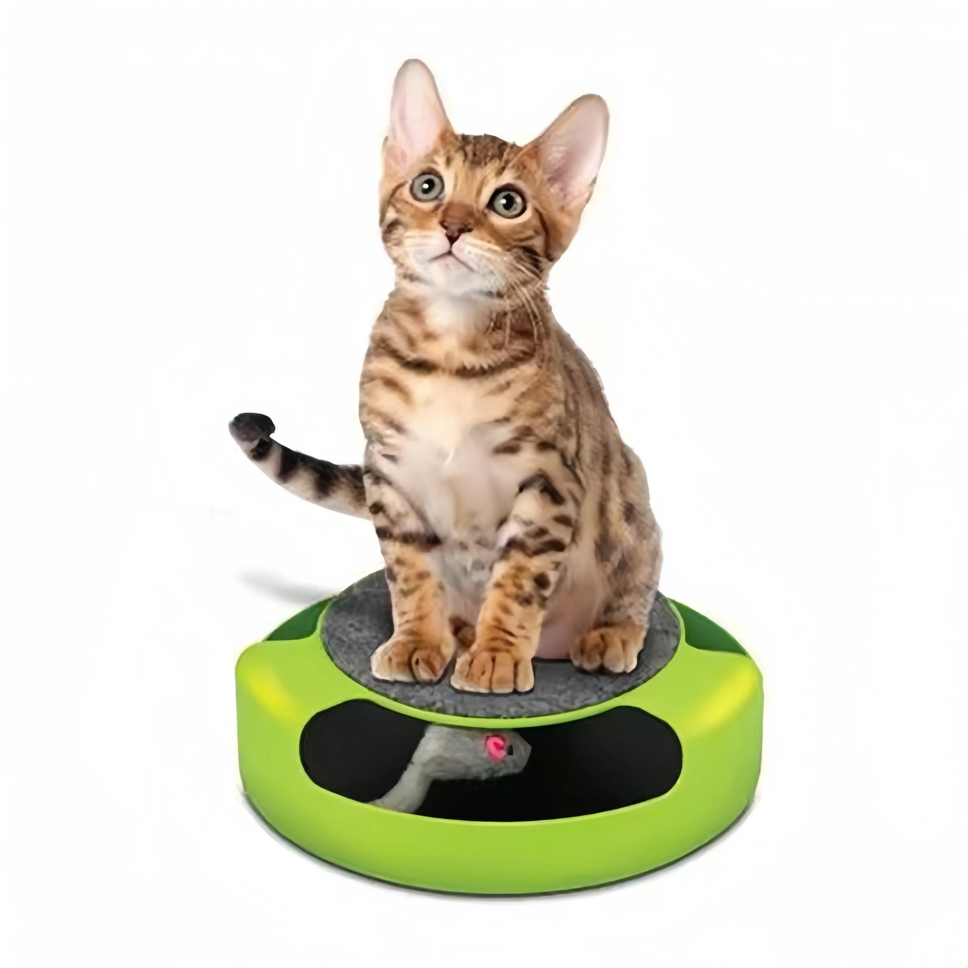 Cat Toy Tower giradischi Roller Balls Toys Interactive Intelligence Training Track Toys Pet Cats Toys Cat Tunnel Toys