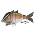 Rainbow Trout