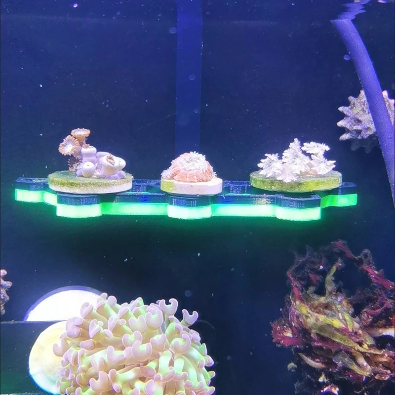 SPS Coral Frag Rack Holder Cor - Marine Aquarium Orp review and price