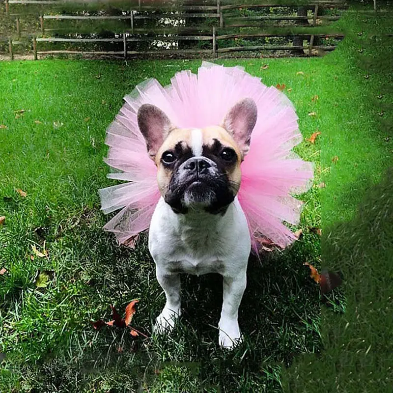 Falda tutú de malla con babero disfraz para perro pequeño - imagen 4