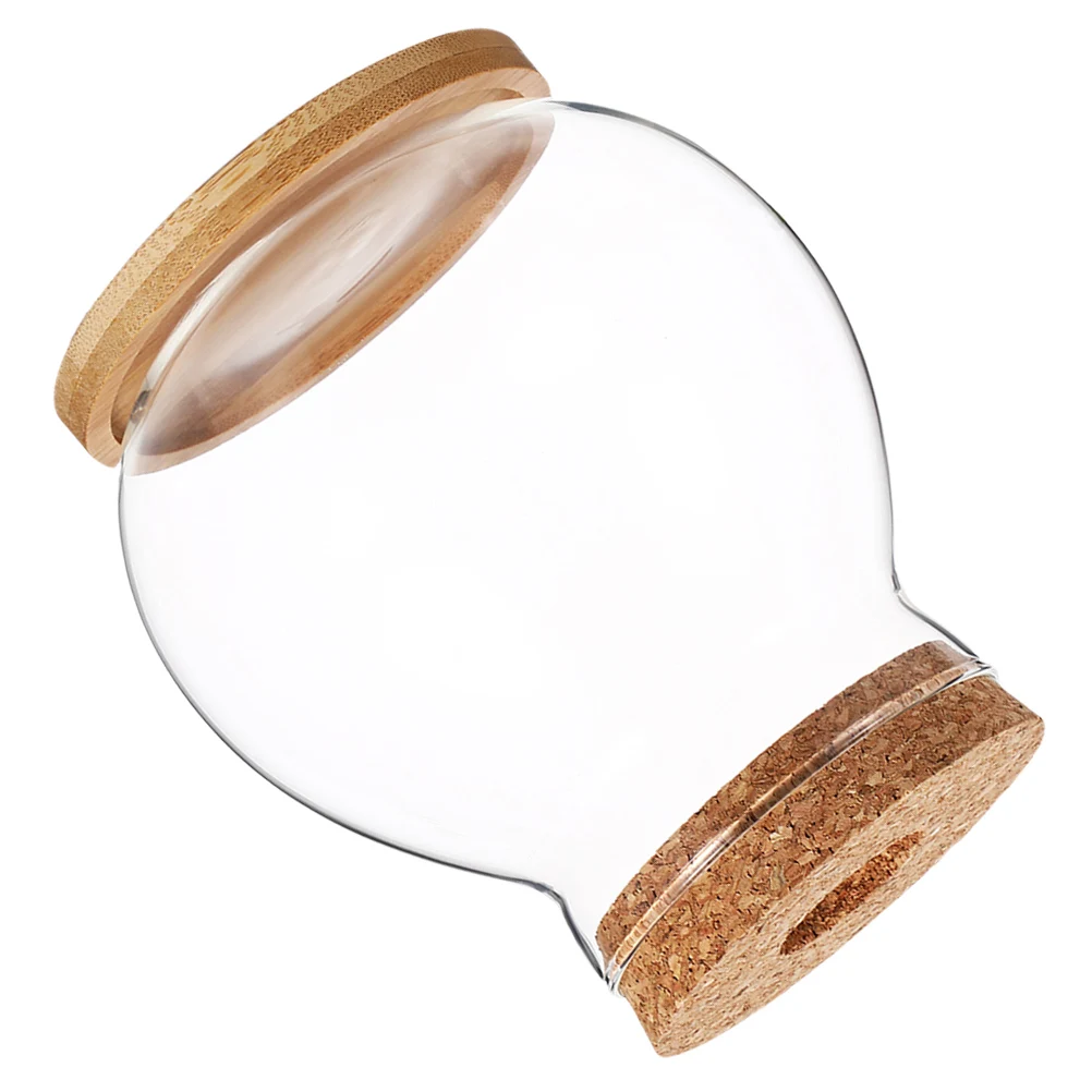 

Hydroponic Glass Fish Tank Transparent Small Wooden Lid Desktop Mini Aquarium Betta Fish Bowl Office Decor Small Glass Aquarium