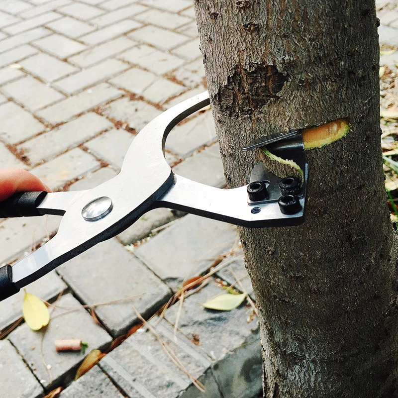 Imagem -02 - Árvore Ramos Anel Barking Scissor Sharp Stripping Peeling Knife Poda Jardim Ferramentas Manuais Tesoura Scissor