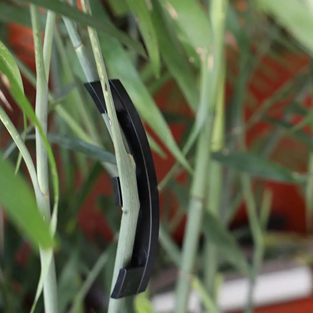 

10 Pcs Moss Bend-bend Shaped Device Plants Branch Plastic Garden Sticks for Support