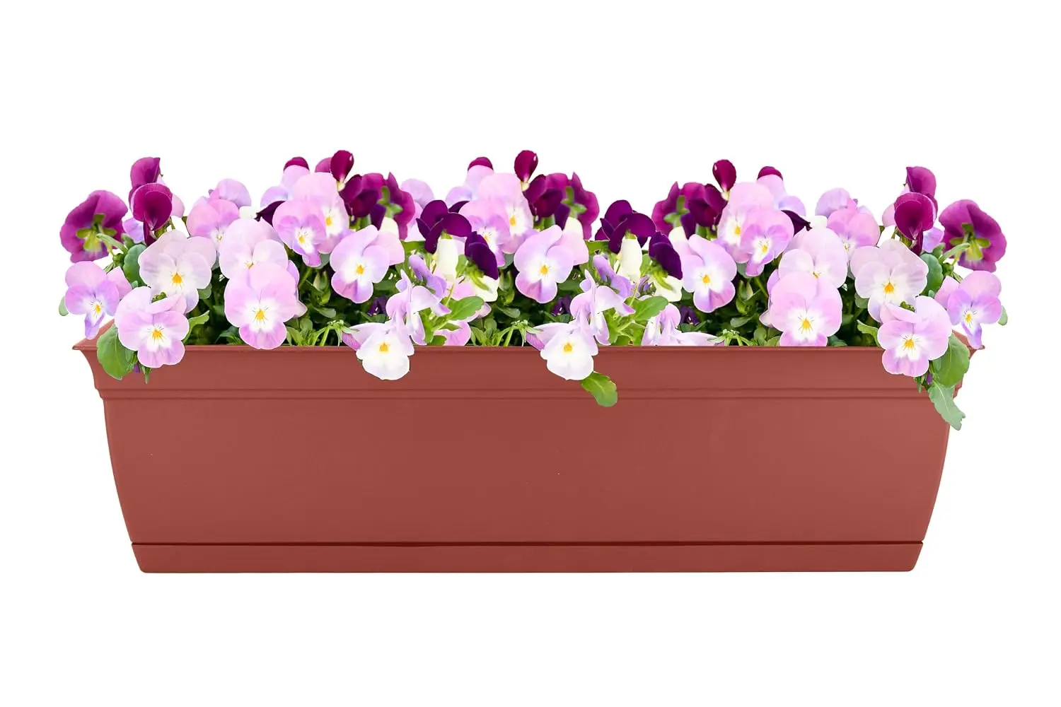 Eclipse Window Planter Box, 30 Inch, Clay, 2-Pack