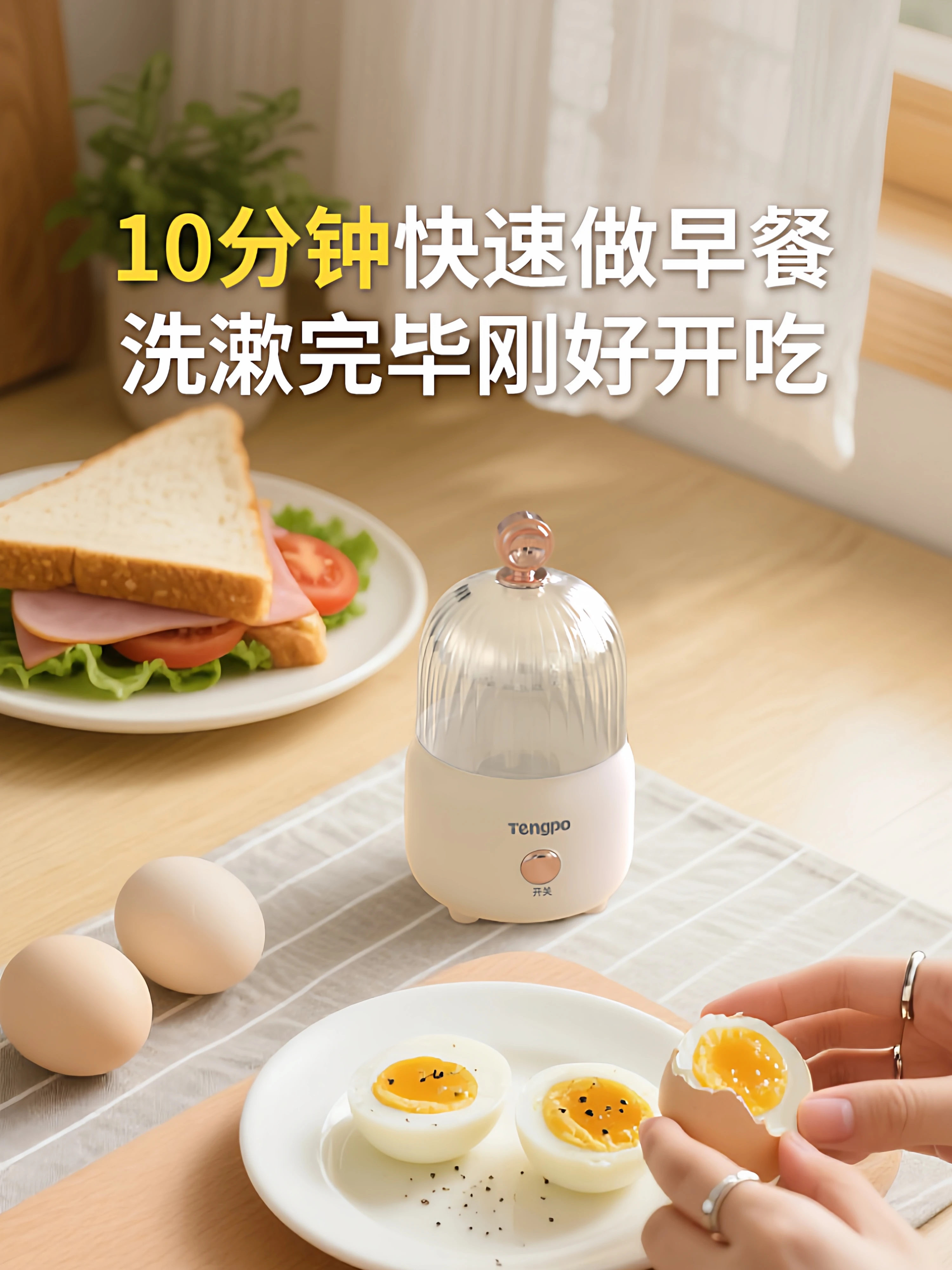 220V Tengpo Mini Egg Cooker Steamer Portable Breakfast Maker for Home Dorm