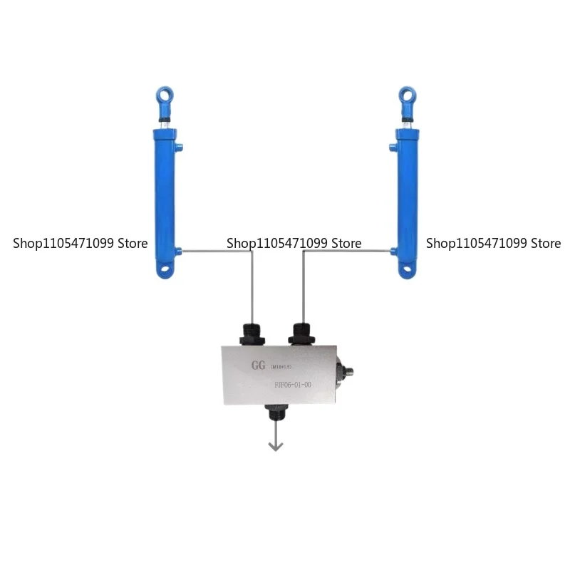 

Hydraulic Synchronous Valve FJF06-01-00 Flow Distribution Valve for Double Cylinder Lifting Balance