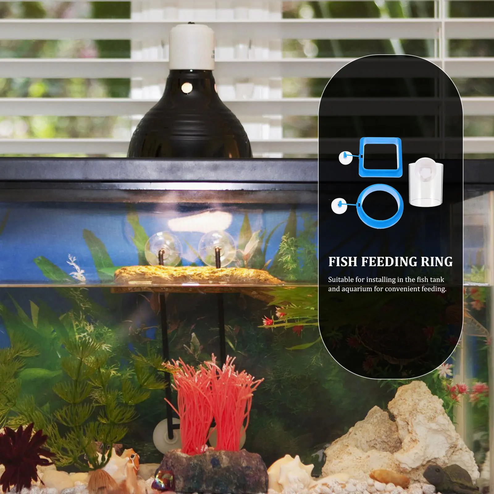 

3 Pcs Fish Tank Feeding Circle Aquarium Floating Food Ring Rings for Tanks Hook up Circles Feeder