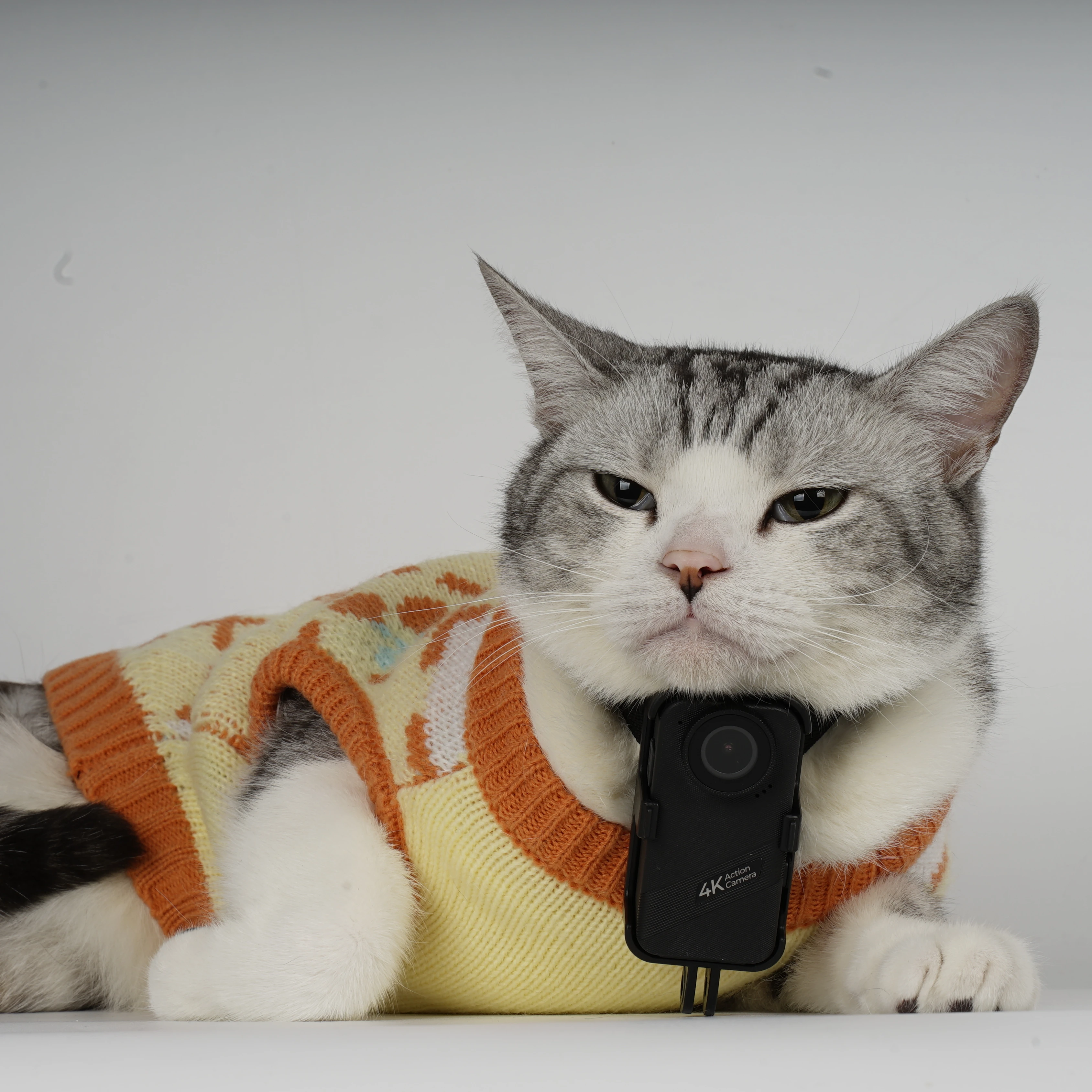 

4G WiFi Smart Dog Cats GPS Pet Activity Monitoring Sport Portable for Real Time Tracking