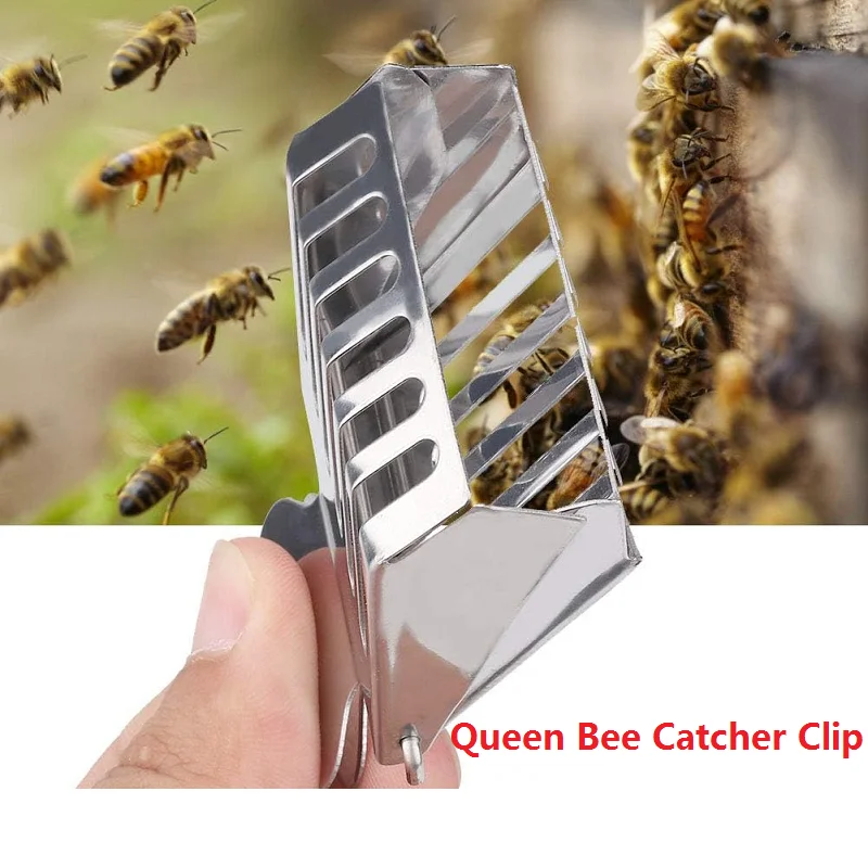 Bee Queen Catcher Clip Stainless Steel Queen Bee Catcher Cage Queen Bee Cage Isolation Room Insect Catcher Beekeeping Tools