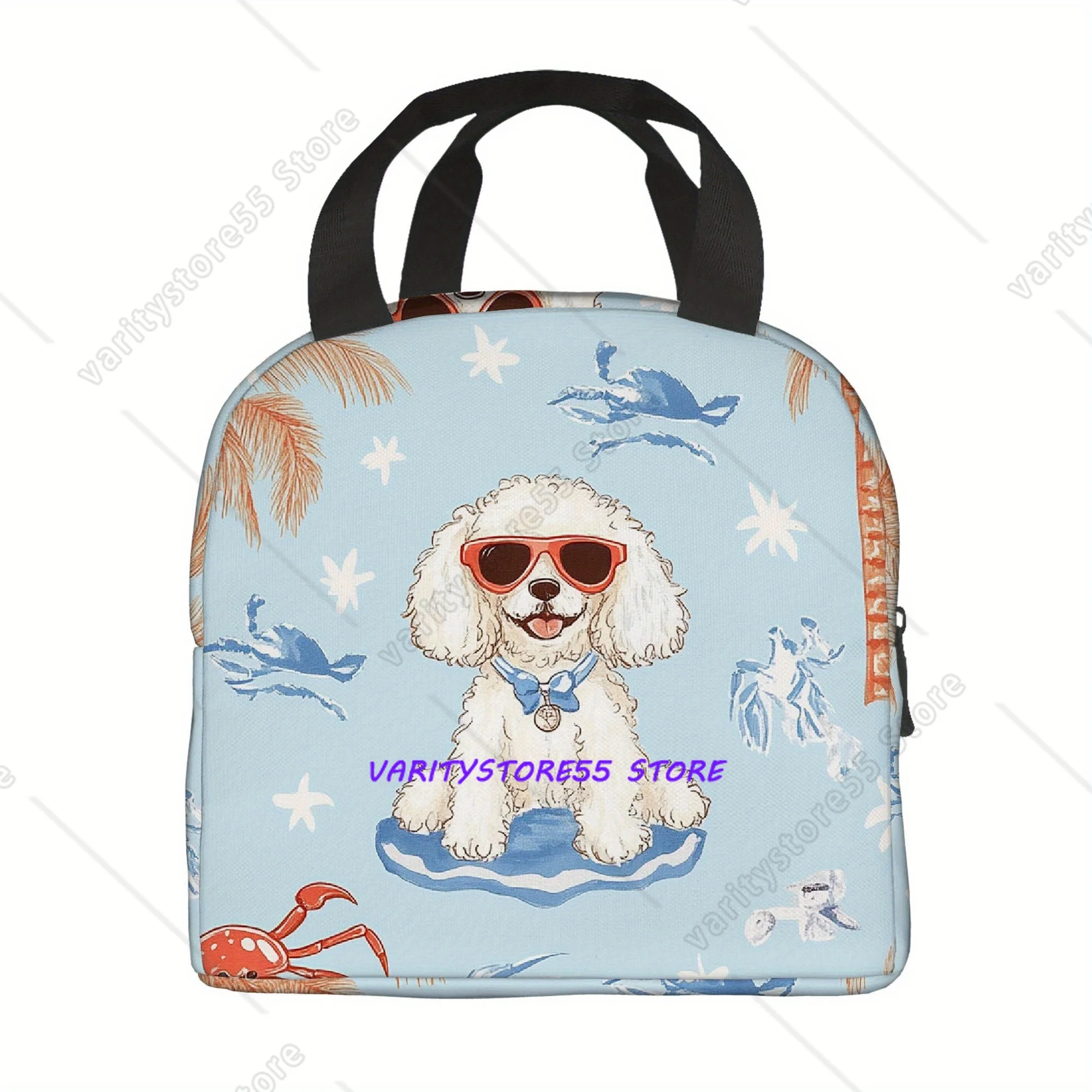 Lunch Bag Teen Insulated Cooler Lunch Box Containers for Adults Tote Thermos Portable Outdoors