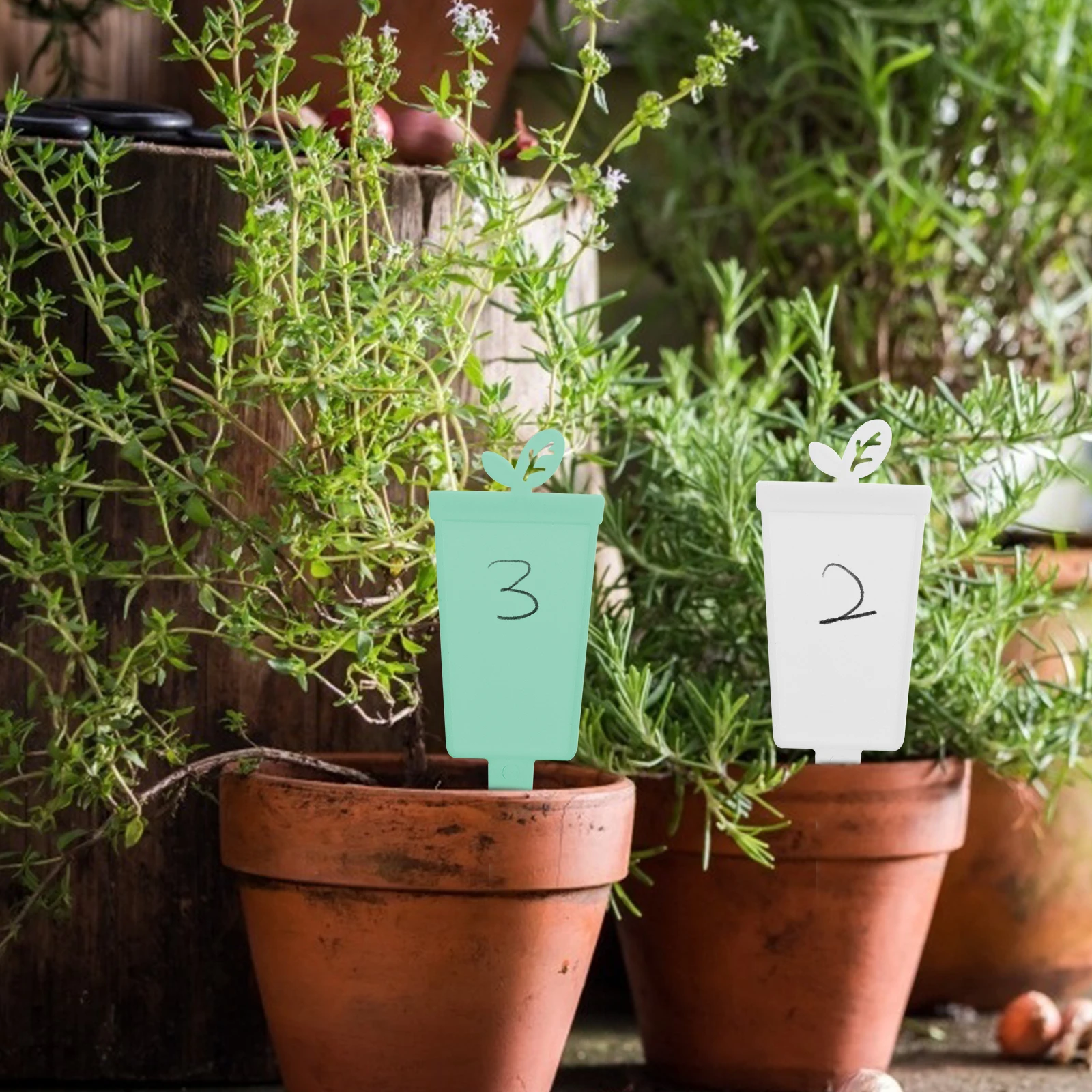 

60pcs Garden Labels Plant Tags For Plants Markers Flower Pots Gardening Identification Waterproof Durable Eco-Friendly Stylish