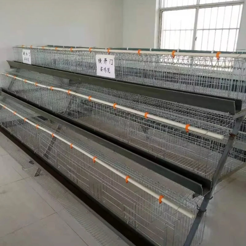 New Automatic A-Type Poultry Layer Chicken Cage with Anti-rust Hot Dip Galvanized Steel and Plastic for Commercial Farm Use