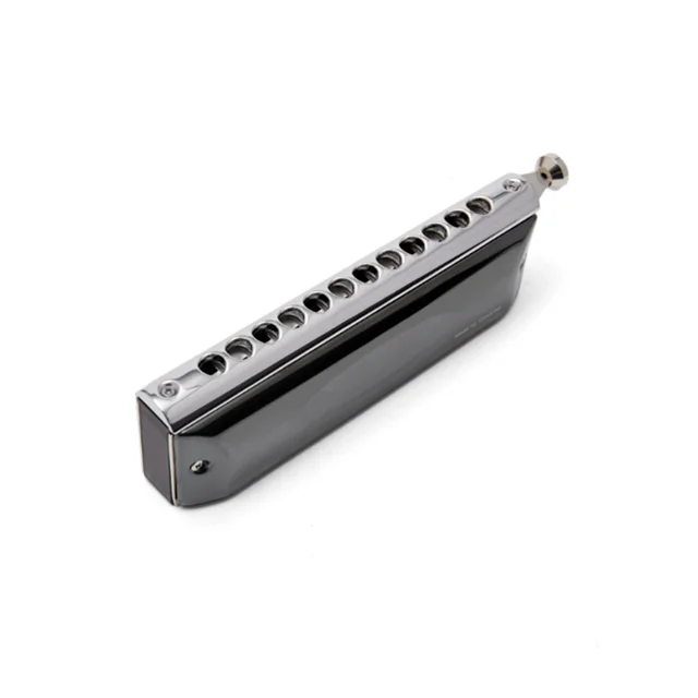 12-Hole Professional Mouth Organ Harmonica High Quality Key of C Black