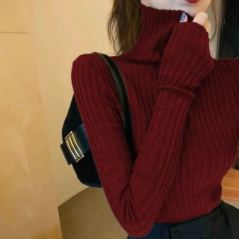 Chic Autumn Winter Sweater Women Pullovers Long Sleeve Casual Turtleneck Warm Basic Sweater Knit Jumpers Top