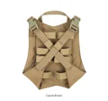 COYOTE BROWN