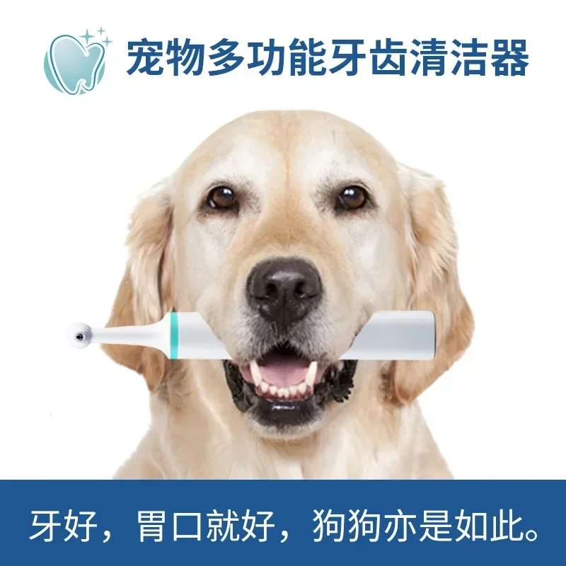 Pet Electric Toothbrush Cleaner Tooth Polisher Teddy Dog Cat Dog Oral Cleaning Tool Remove Toothpaste