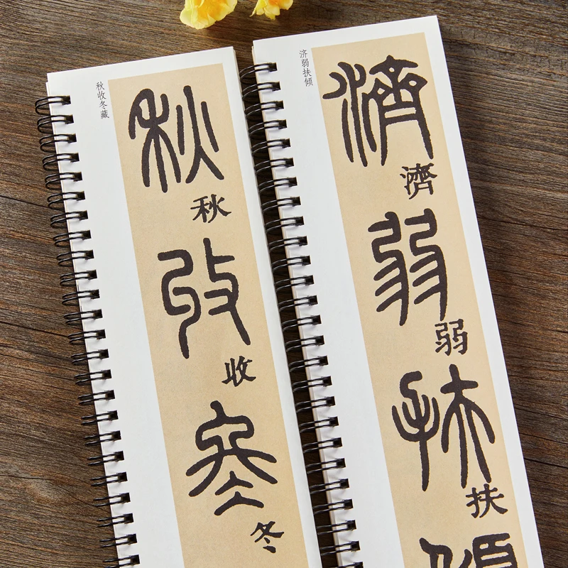 Seal Script Classic Calligraphy Copybook Professional Chinese Character Calligraphy Copying Writing Books Beginners Art Supplies