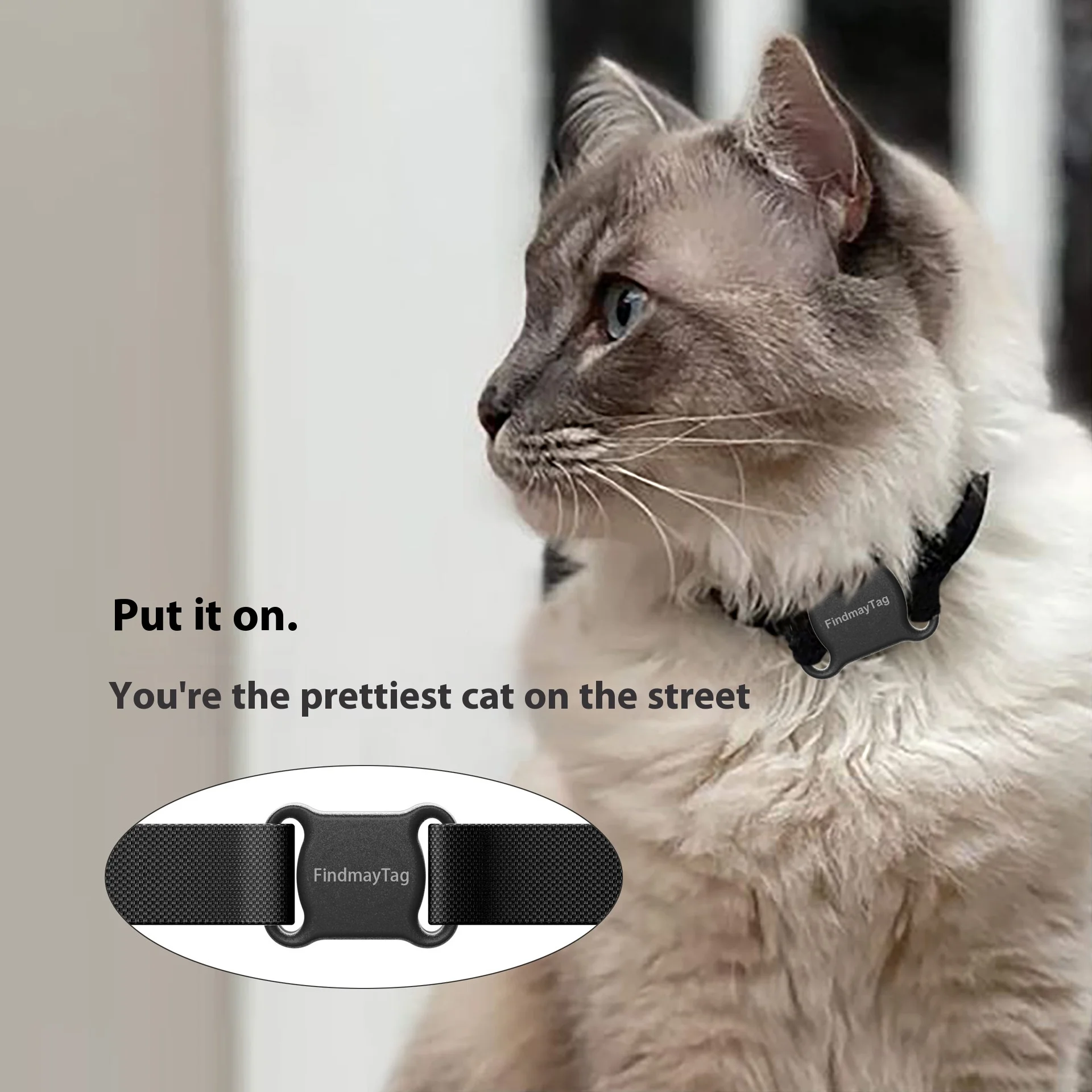 

New Pet Locator Waterproof Bluetooth Loss Prevention Dog Cat Tracker GPS Pet Finder