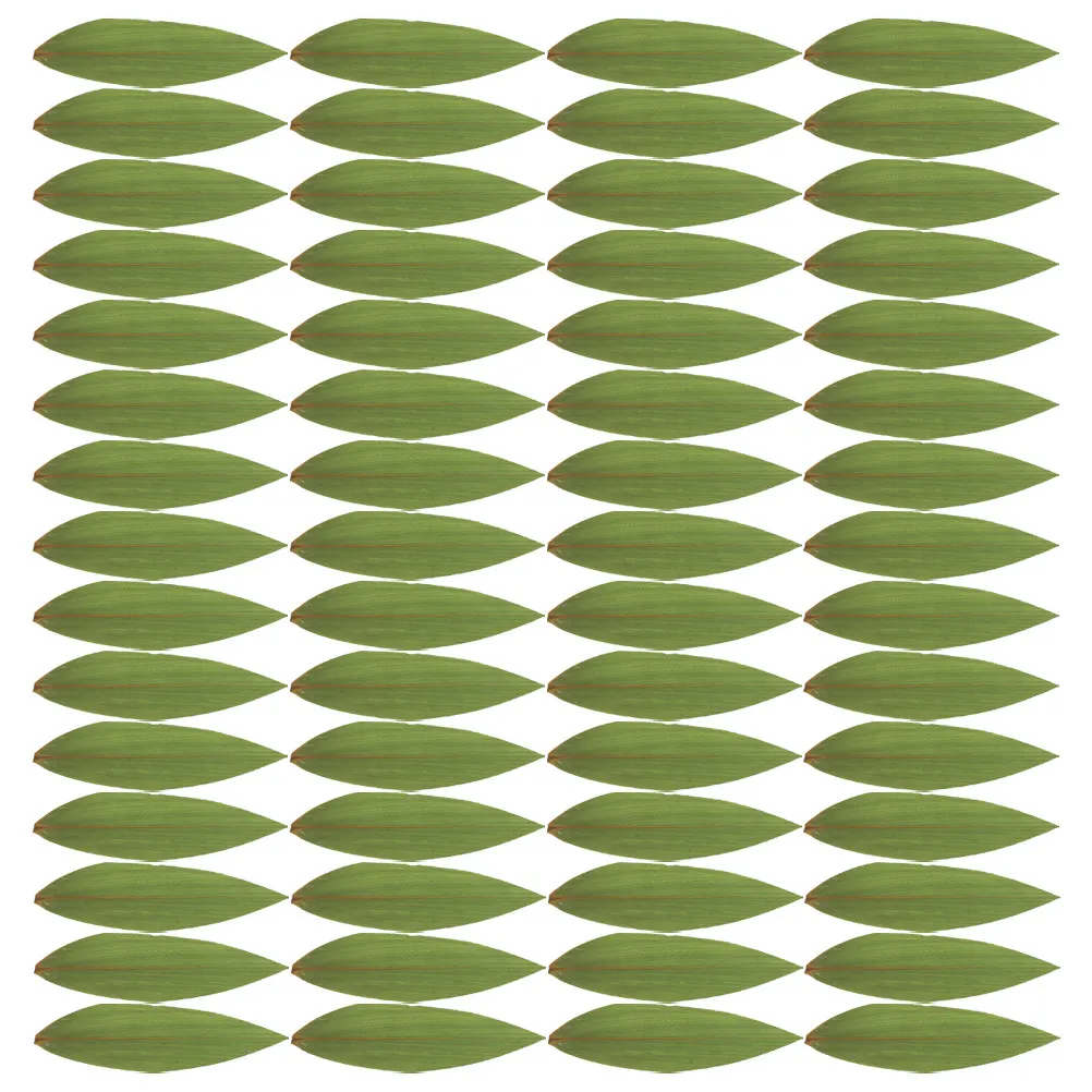 200Pcs Bamboo Leaves Japanese Style Sushi Plate Leaf Fresh Green Sashimi Plating Sushi Tray Leaf Decor Sashimi Plate Leaves Mat