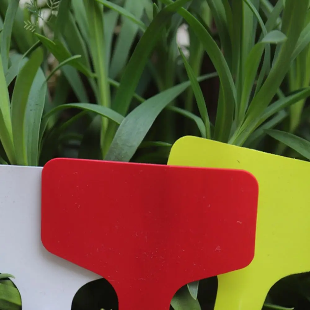 Reusable Plastic Plant Labels T Shaped Garden Markers For Potted Succulents Flower Identification Nursery Supplies Tools