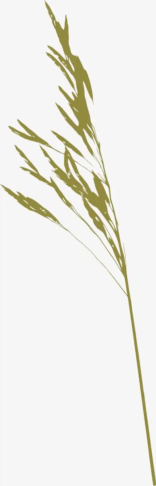 

MN 1/12 MN168 RC Remote Control Car Parts Metal Upgrade Mirror Wheel Hub Tire Hex Connector