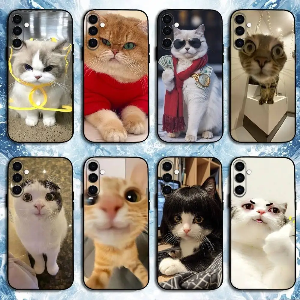 

Funny wallpaper of pet cats Phone Case For Samsung Galaxy A73,A72,A71,A70,A53,A52,A51,Others Soft Black Shell
