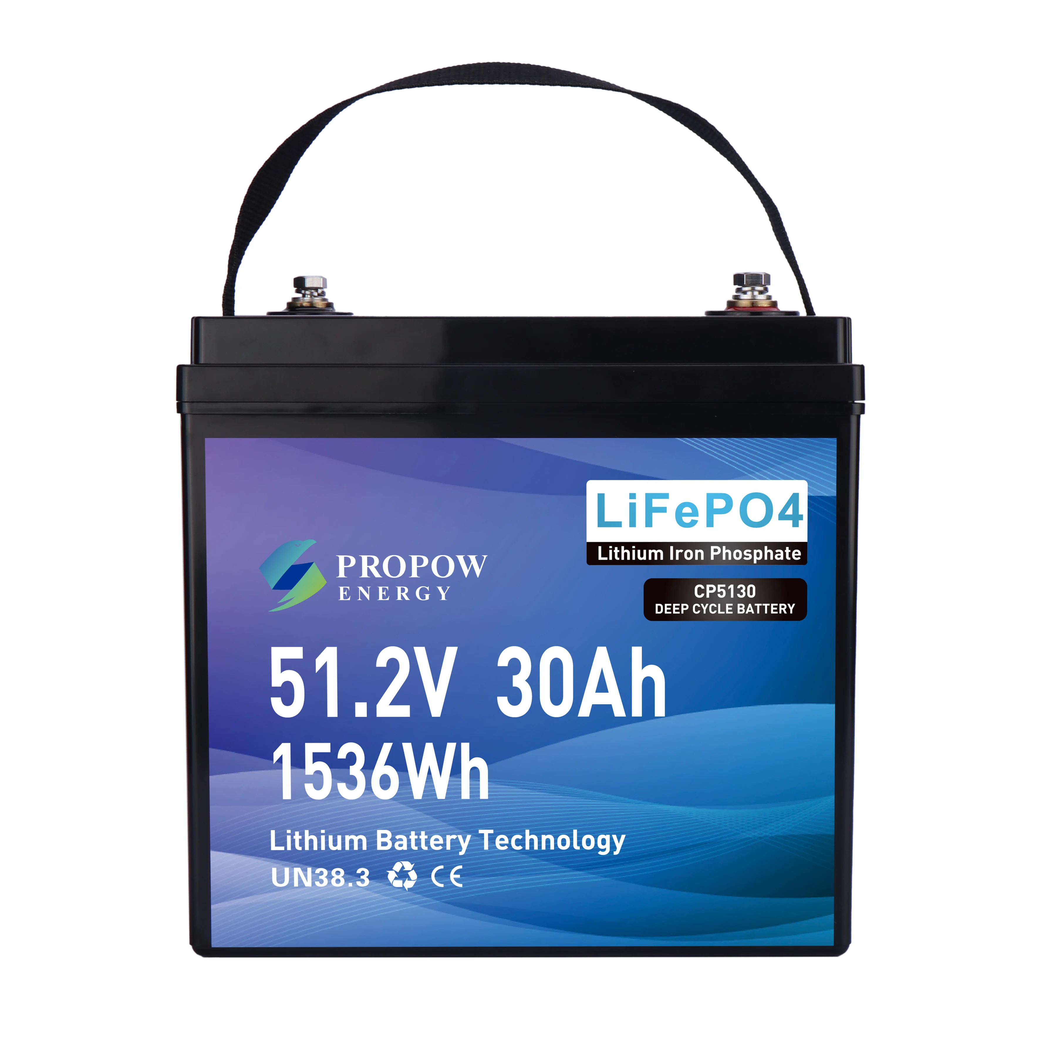 

Golf Cart Lifepo4 Lithium Ion Battery 48v 30ah Golf 51.2v Lithium Battery 30ah