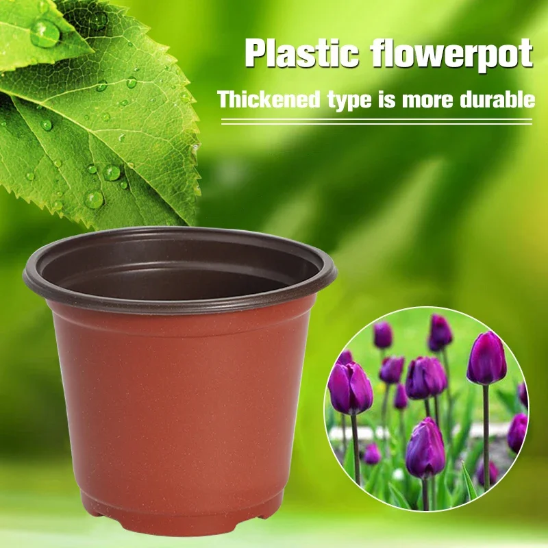 50/20pcs Plastic Flowerpots Simple Nursery Seedling Pot Flowers Seed  Breeding Planters Container Box Garden Supplies Tool - AliExpress