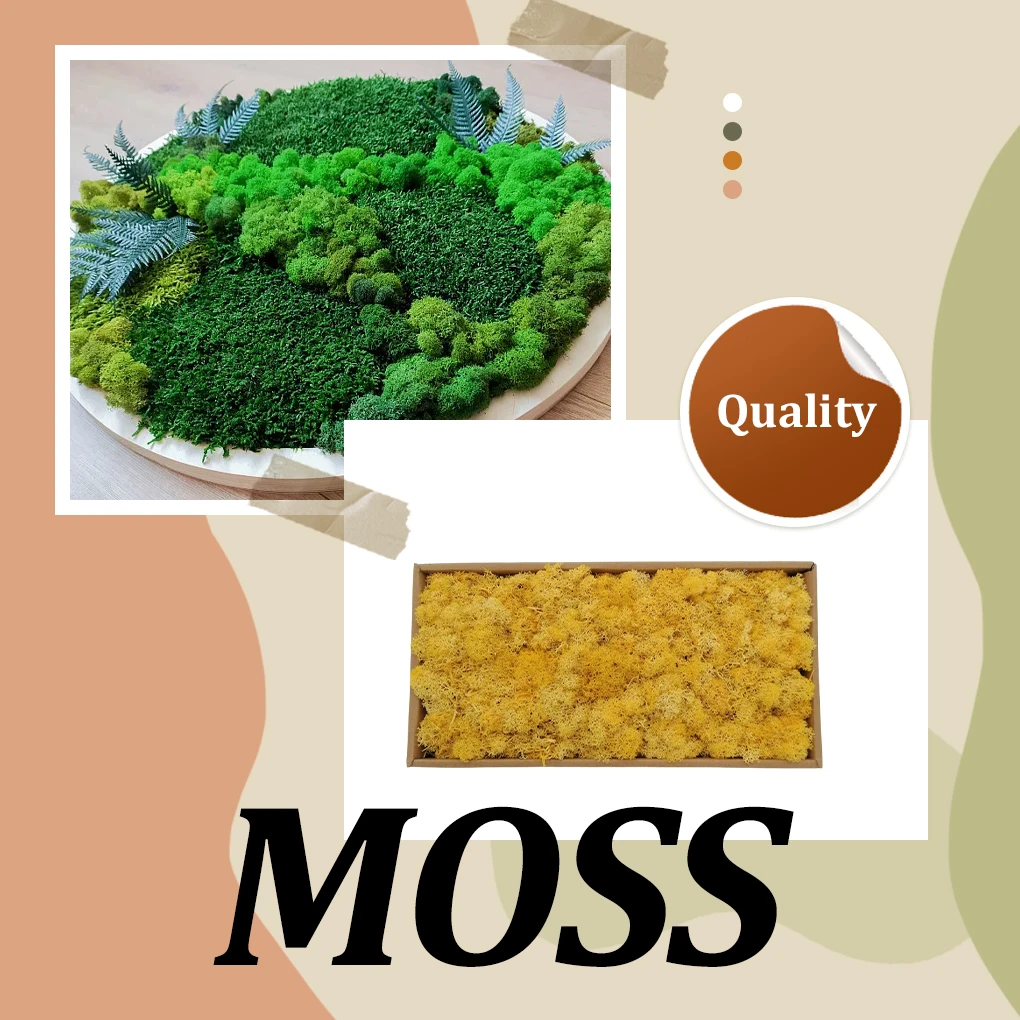 Preserved Flower Artificial Moss Decorative Solid Color Realistic Lichen