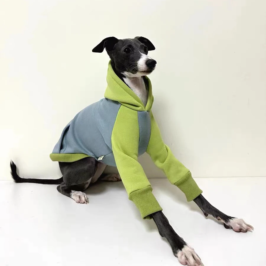 Thickened Hooded Sweatshirt for Pet, Color Block, Warm Greyhound Whippet, Large Size Dog Clothes, Winter