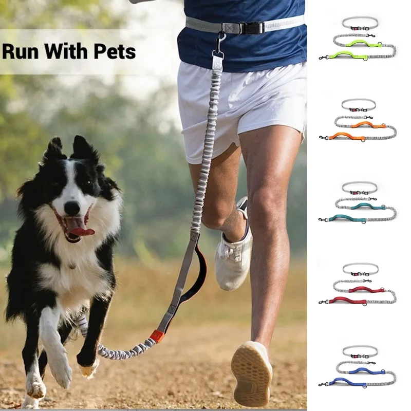 Hands Free Dog Leash Elastic Dog Running Belt Pet Bungee Rope Leashes Reflective Jop Dogs Training For Medium Large Dog Supplies