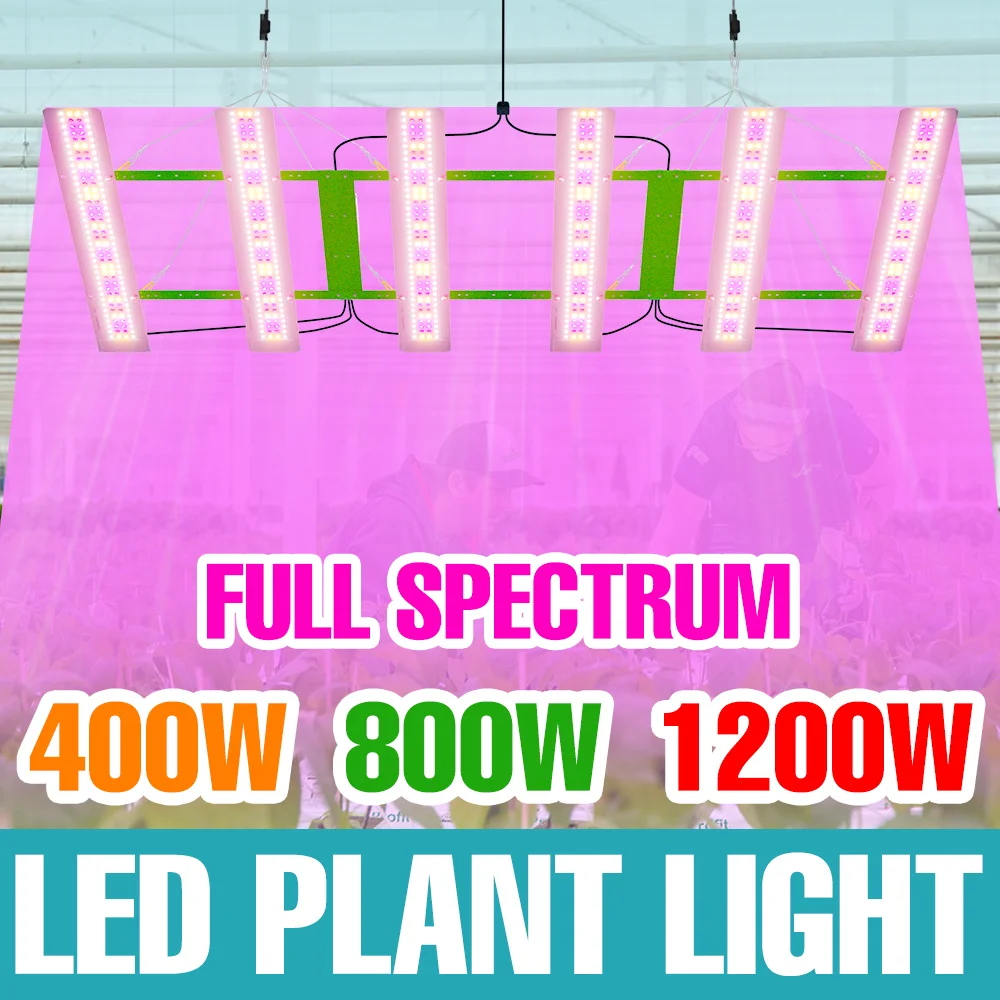 

1200W LED Full Spectrum Grow Light 220V Quantum Board Plant Cultivation Lamp Greenhouse Tent Seedings Fruit Vegs Fill Lighting